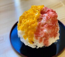 みなとみらいPRセンターのプレスリリース画像3