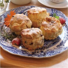 みなとみらいPRセンターのプレスリリース画像16