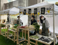 みなとみらいPRセンターのプレスリリース画像2