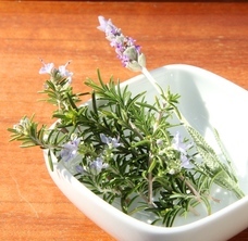 みなとみらいPRセンターのプレスリリース画像1