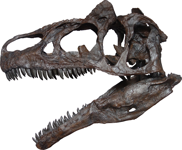 品質保証付き タイムセール 木製 恐竜スタンプ8個セットです キャラクターグッズ Queencityrunning Com 品質保証付き タイムセール 木製 恐竜スタンプ8個セットです キャラクターグッズ Queencityrunning Com