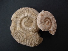 みなとみらいPRセンターのプレスリリース画像5