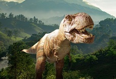 みなとみらいPRセンターのプレスリリース画像1