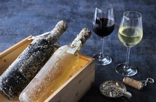 みなとみらいPRセンターのプレスリリース画像2