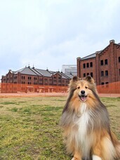 みなとみらいPRセンターのプレスリリース画像1