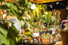 みなとみらいPRセンターのプレスリリース画像6