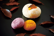 みなとみらいPRセンターのプレスリリース画像7