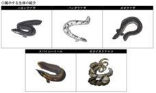 みなとみらいPRセンターのプレスリリース画像4