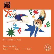 みなとみらいPRセンターのプレスリリース画像6