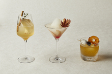 みなとみらいPRセンターのプレスリリース画像4