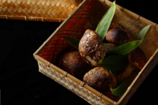 みなとみらいPRセンターのプレスリリース画像2