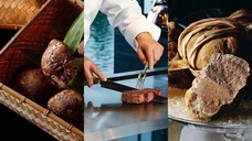 みなとみらいPRセンターのプレスリリース画像4