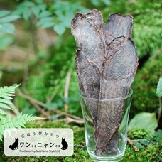 みなとみらいPRセンターのプレスリリース画像10