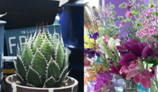 みなとみらいPRセンターのプレスリリース画像17