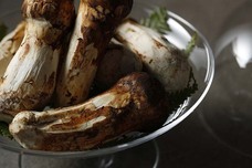 みなとみらいPRセンターのプレスリリース画像1