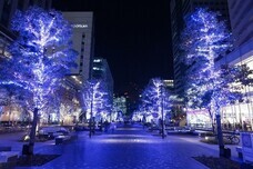 みなとみらいPRセンターのプレスリリース画像13