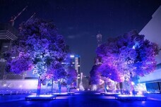 みなとみらいPRセンターのプレスリリース画像16