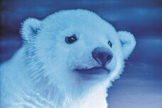 みなとみらいPRセンターのプレスリリース画像3