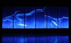 みなとみらいPRセンターのプレスリリース画像4