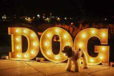 みなとみらいPRセンターのプレスリリース画像1