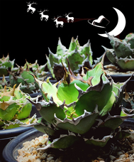 みなとみらいPRセンターのプレスリリース画像11