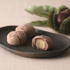 みなとみらいPRセンターのプレスリリース画像5