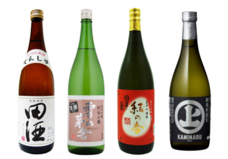 みなとみらいPRセンターのプレスリリース画像14