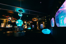 みなとみらいPRセンターのプレスリリース画像5