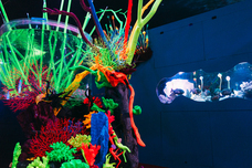 みなとみらいPRセンターのプレスリリース画像4