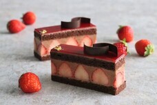 みなとみらいPRセンターのプレスリリース画像6