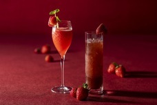 みなとみらいPRセンターのプレスリリース画像5