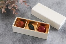 みなとみらいPRセンターのプレスリリース画像4