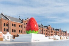 みなとみらいPRセンターのプレスリリース画像13