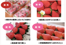 みなとみらいPRセンターのプレスリリース画像11