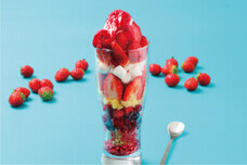 みなとみらいPRセンターのプレスリリース画像3