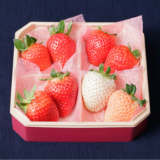 みなとみらいPRセンターのプレスリリース画像6