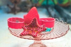 みなとみらいPRセンターのプレスリリース画像7