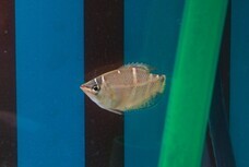 みなとみらいPRセンターのプレスリリース画像4