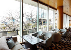 みなとみらいPRセンターのプレスリリース画像3