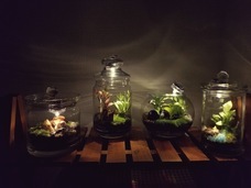 みなとみらいPRセンターのプレスリリース画像7