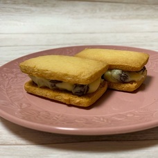 みなとみらいPRセンターのプレスリリース画像17