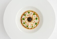 みなとみらいPRセンターのプレスリリース画像3