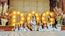 みなとみらいPRセンターのプレスリリース画像16