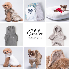 みなとみらいPRセンターのプレスリリース画像4