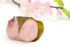 みなとみらいPRセンターのプレスリリース画像4