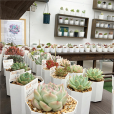 みなとみらいPRセンターのプレスリリース画像1