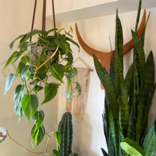 みなとみらいPRセンターのプレスリリース画像12