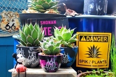 みなとみらいPRセンターのプレスリリース画像9