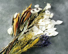 みなとみらいPRセンターのプレスリリース画像16