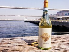 みなとみらいPRセンターのプレスリリース画像4